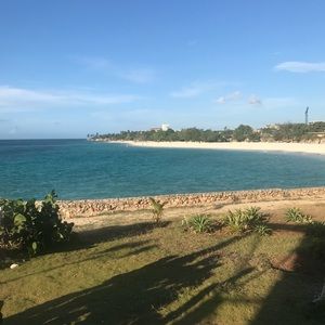 Meet your Posher, Katy